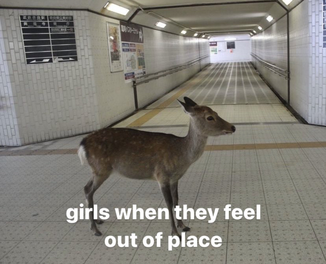 a deer in a train station with text saying girls when they feel out of place